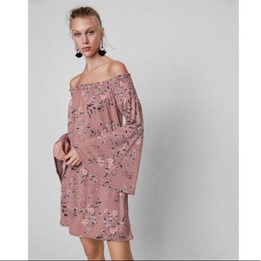 Express Smocked Dress